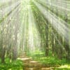 Pearls of Wisdom: The Timeless Advice of Luqman - Sheikh Zahir Bacchus