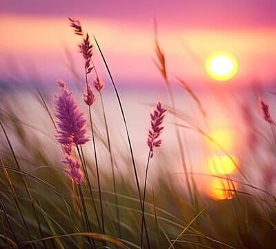 The Journey of Man Unto the Hereafter